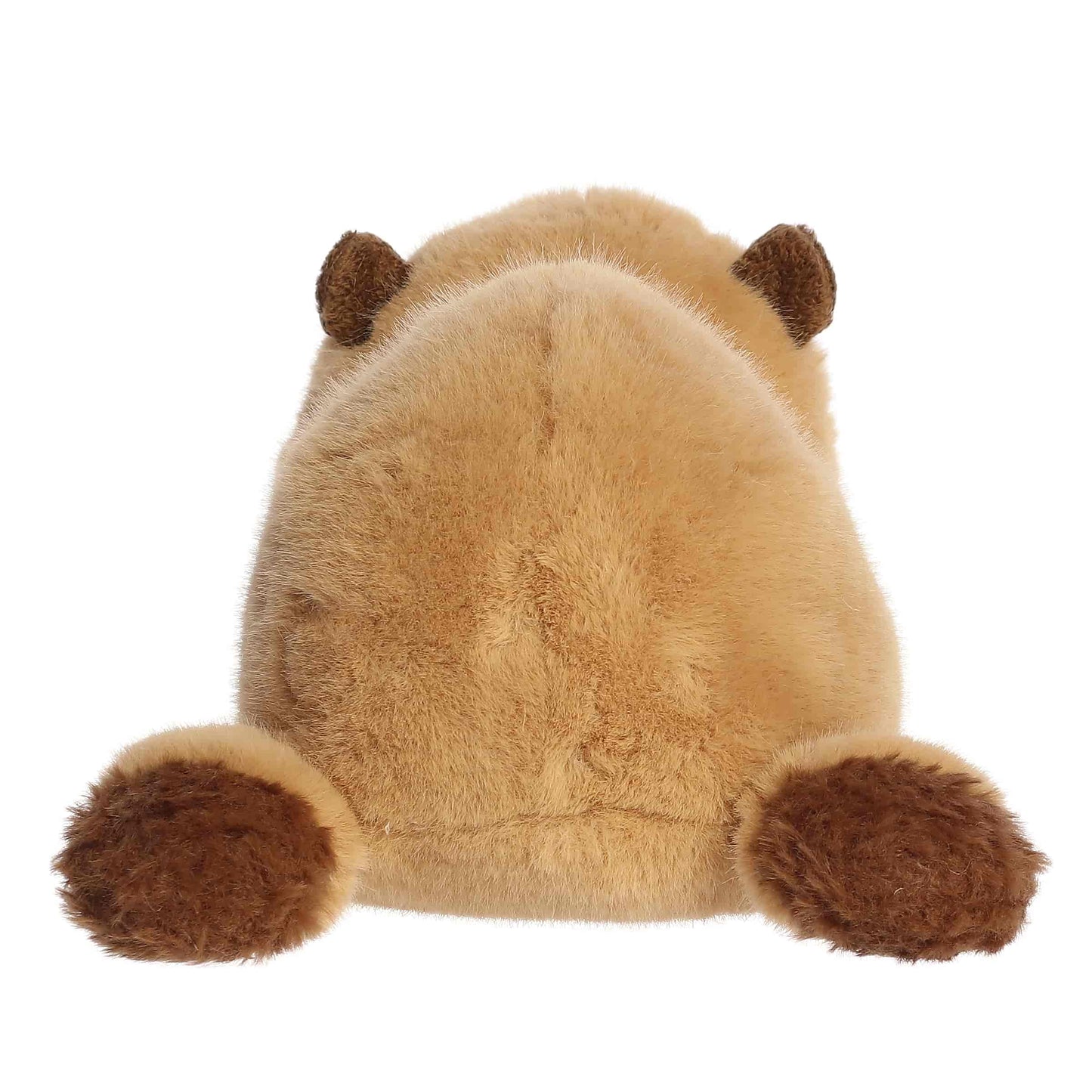 Carlota Capybara | Aurora Rumplers