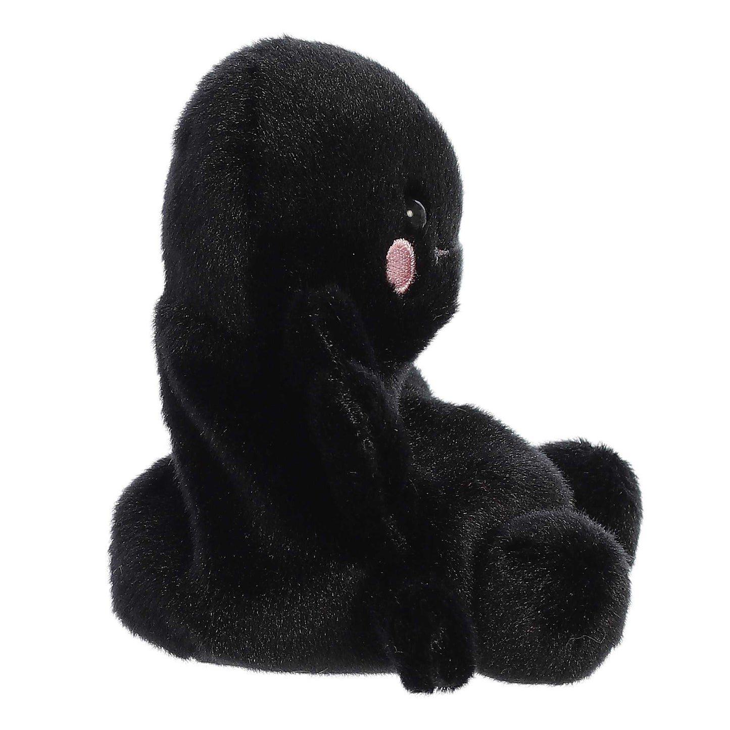 Penny Mae Spider | Aurora Palm Pals