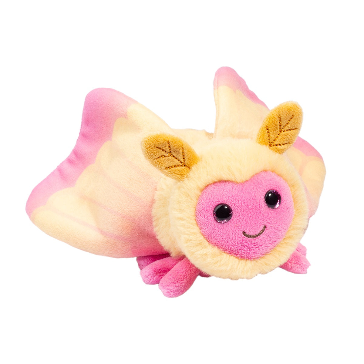 Rosy Maple Moth | Douglas