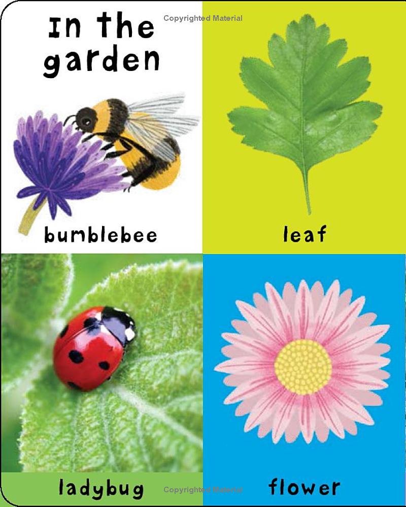 First 100 Nature Words