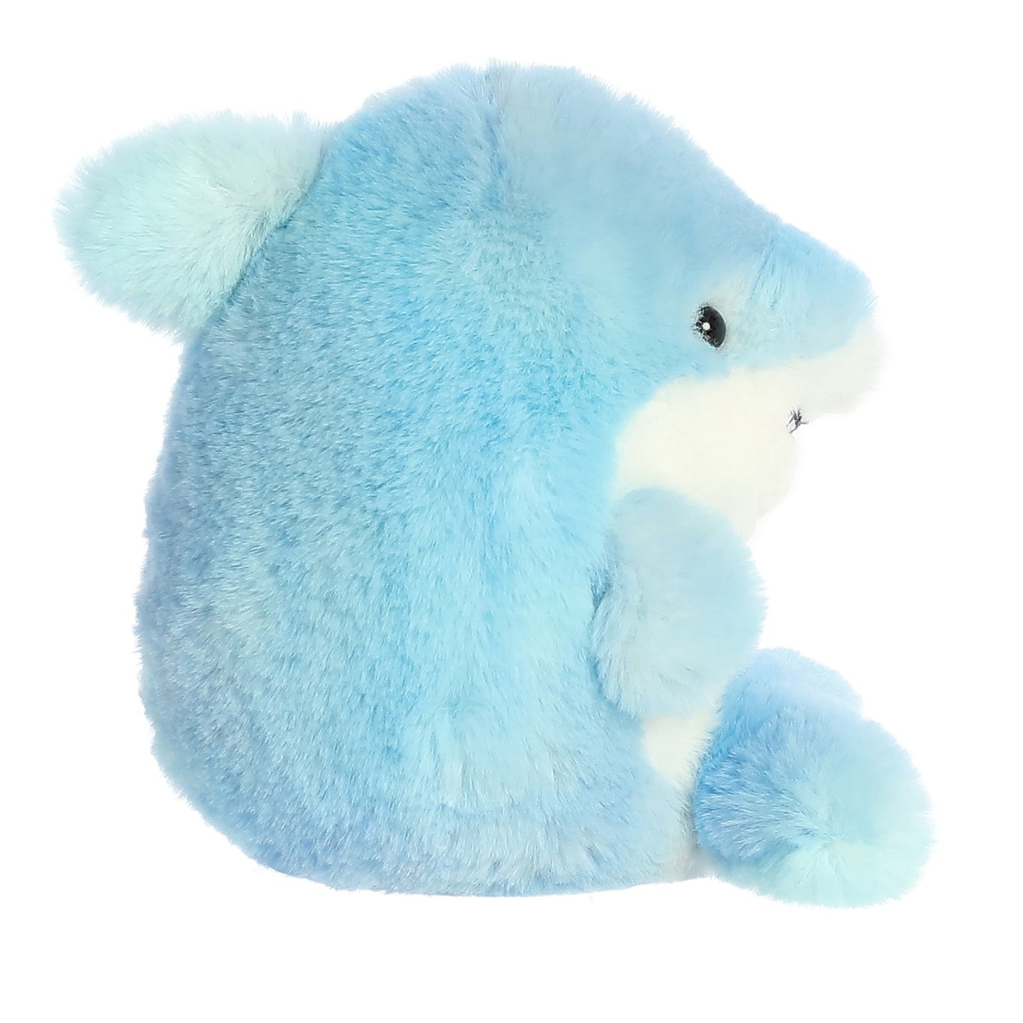 Sutton Shark | Aurora Rolly Pets