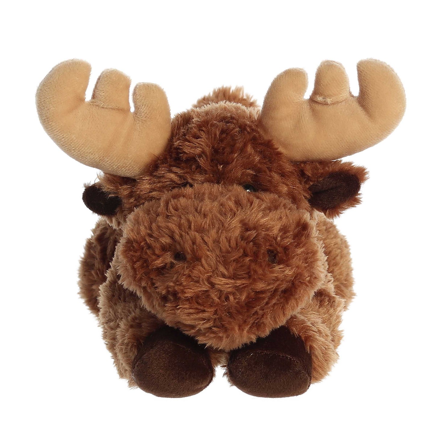 Moose | Aurora Flopsie