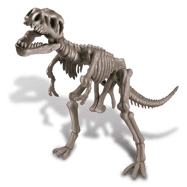 Dig a Dinosaur Skeleton | Tyrannosaurus Rex