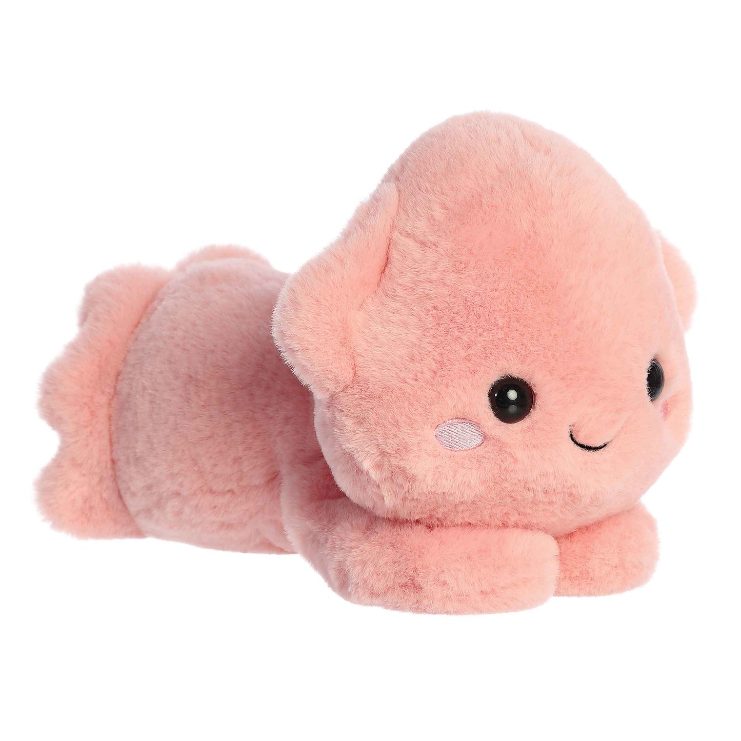 Skyler Squid | Aurora Too Cute
