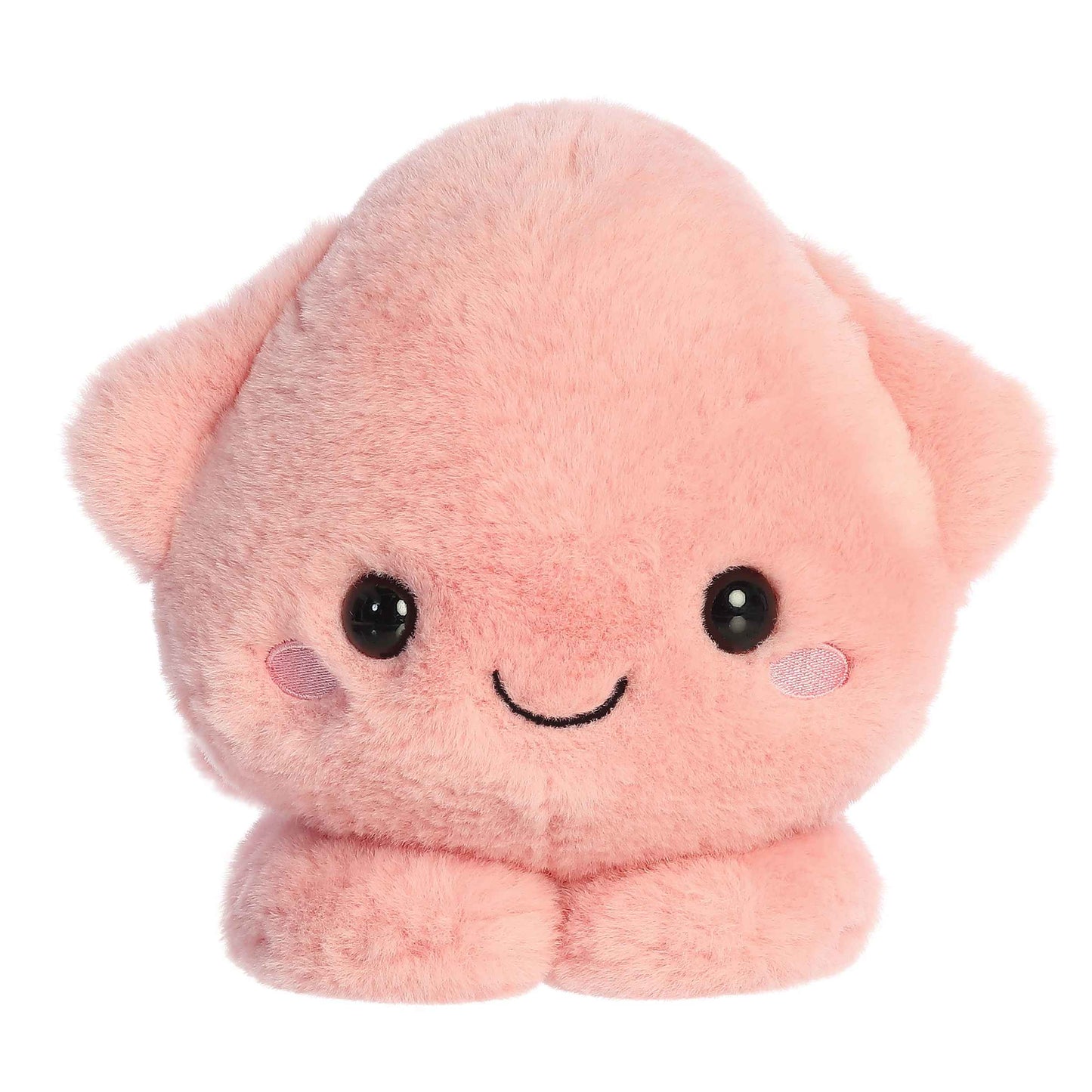 Skyler Squid | Aurora Too Cute