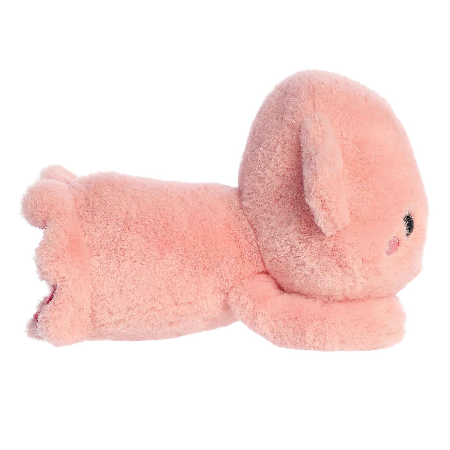 Skyler Squid | Aurora Too Cute