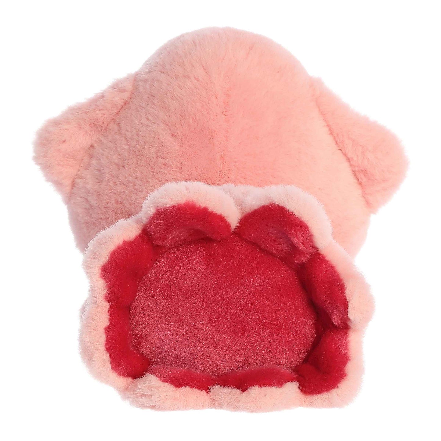 Skyler Squid | Aurora Too Cute