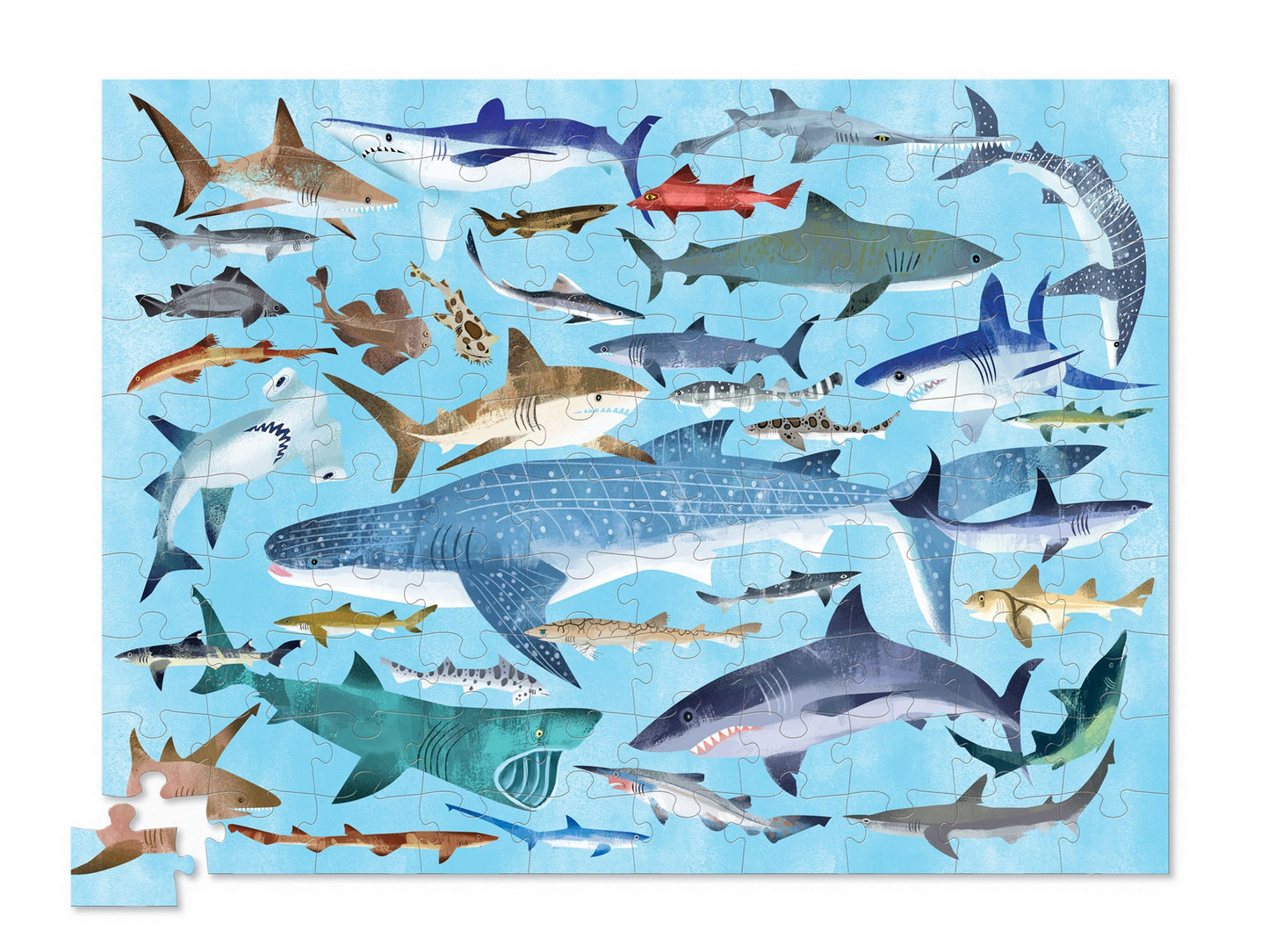 Shark World 100 Piece Puzzle