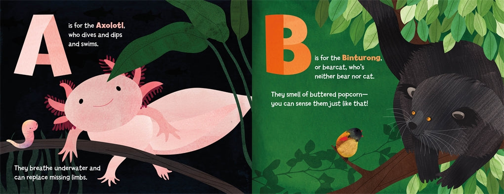 A is for Axolotl: An Unusual Animal ABC
