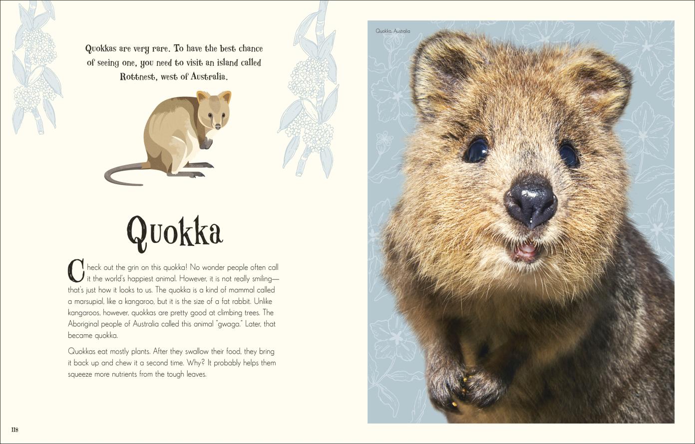 An Anthology of Intriguing Animals