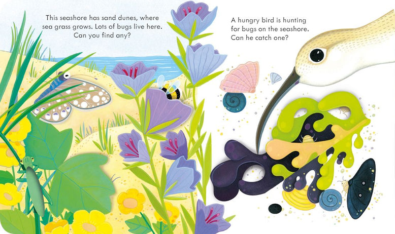 Peep Inside the Seashore | Usborne Board Book