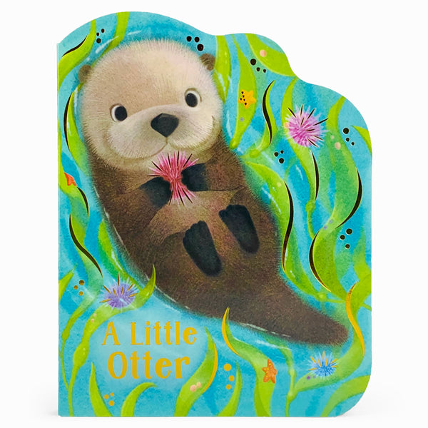 A Little Otter | Board Book