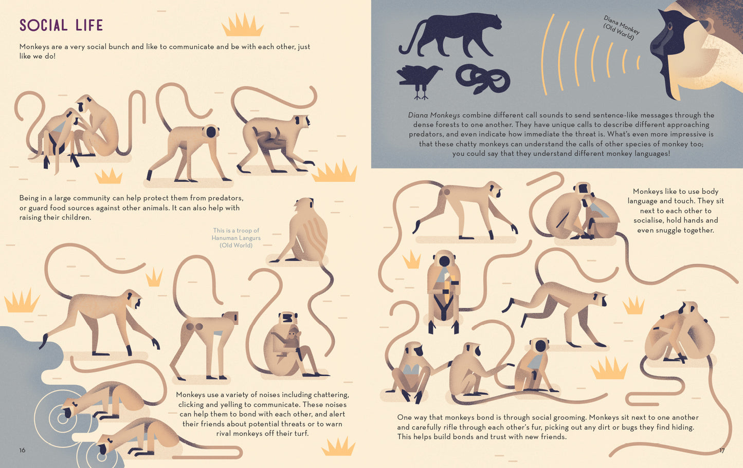 Mad About Monkeys
