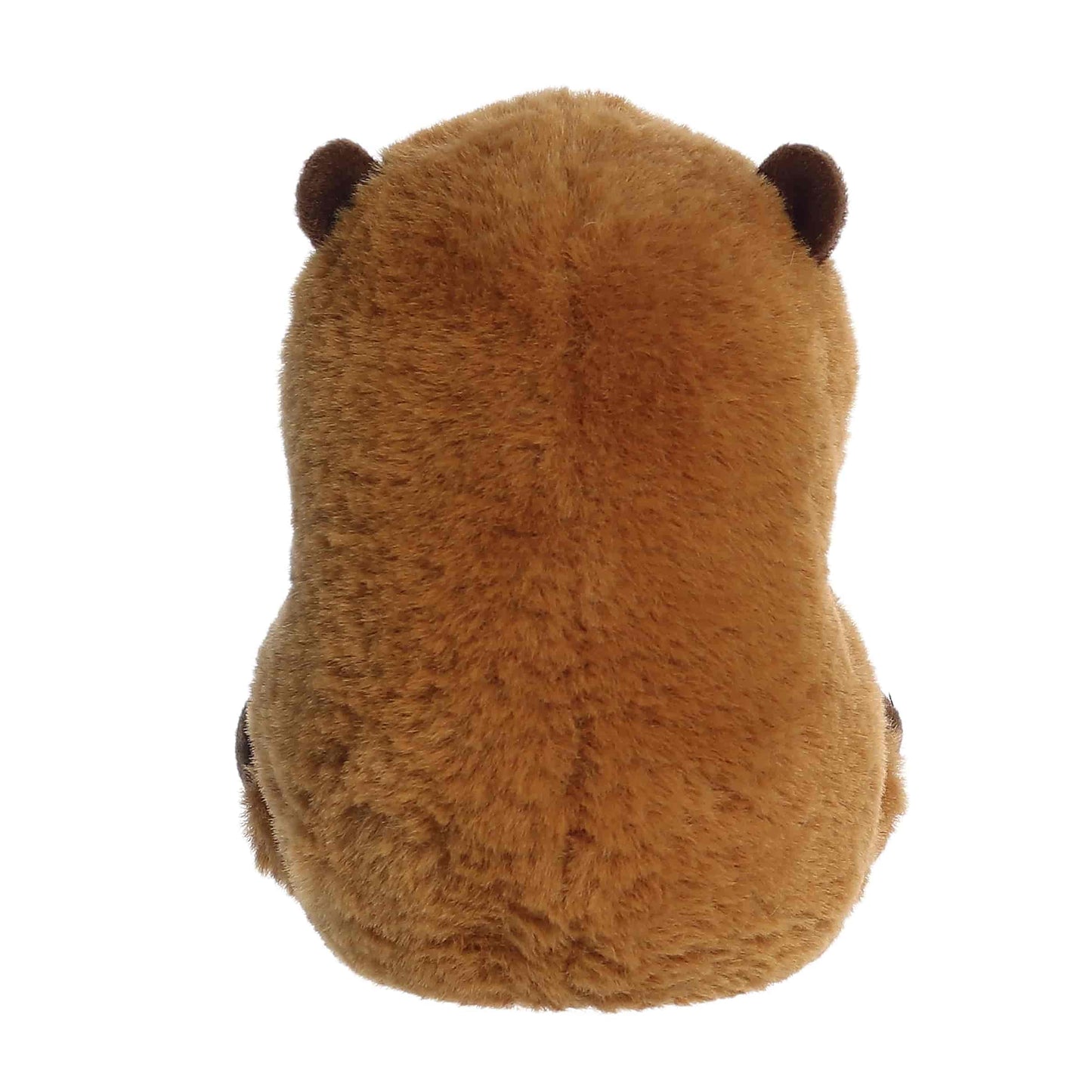 Charlie Capybara | Aurora Rolly Pets