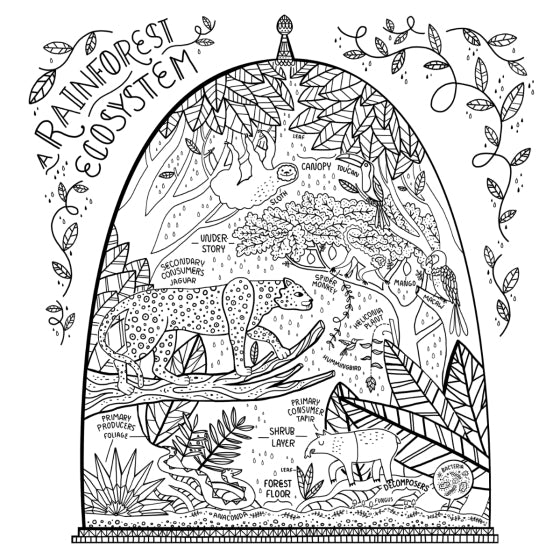 The Wondrous Workings of Science and Nature Colouring Book