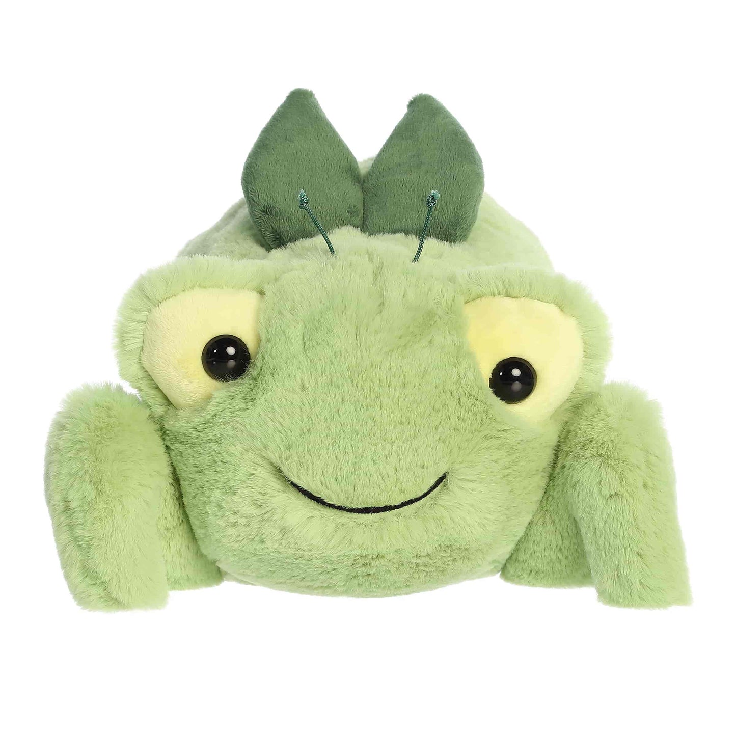 Mio Praying Mantis | Aurora Spudsters
