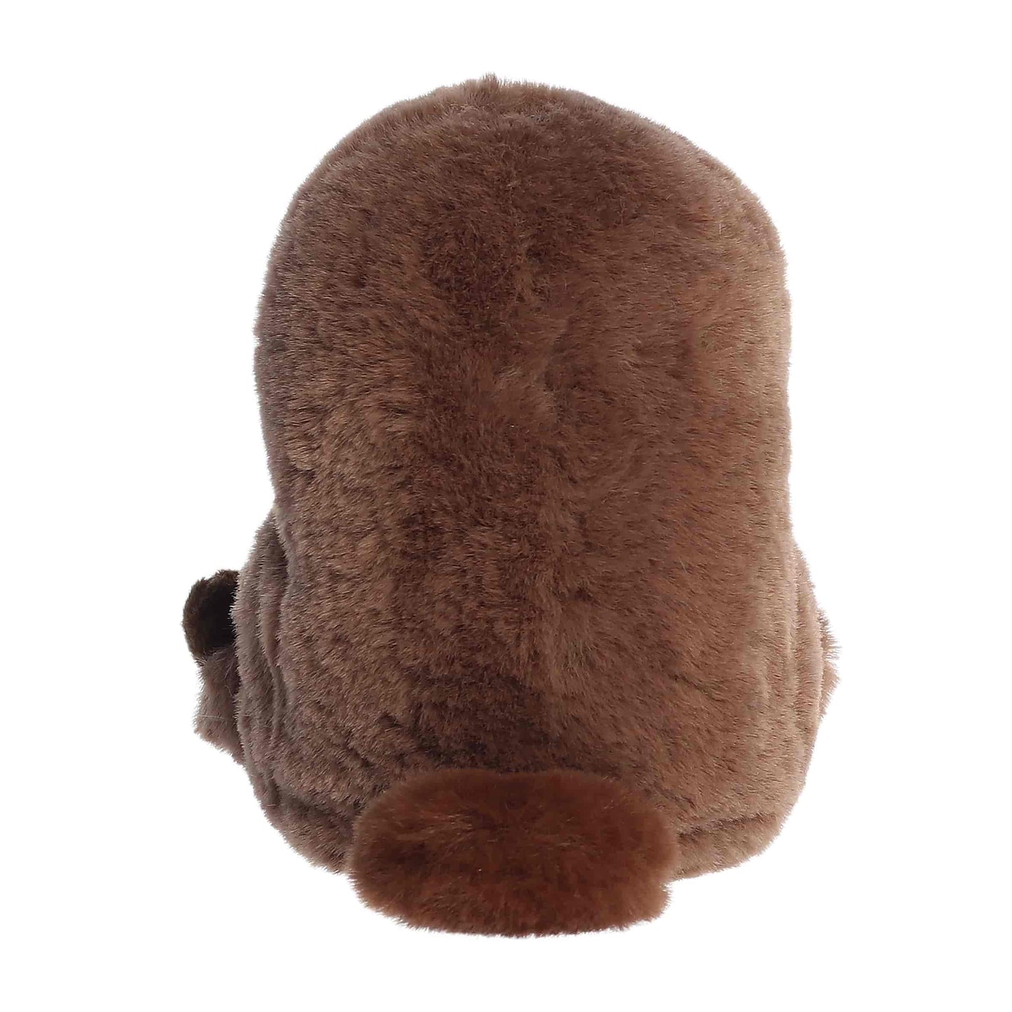 Porter Platypus | Aurora Rolly Pets