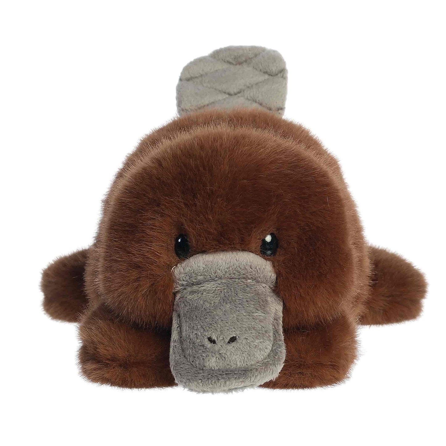 Puck Platypus | Aurora Rumplers