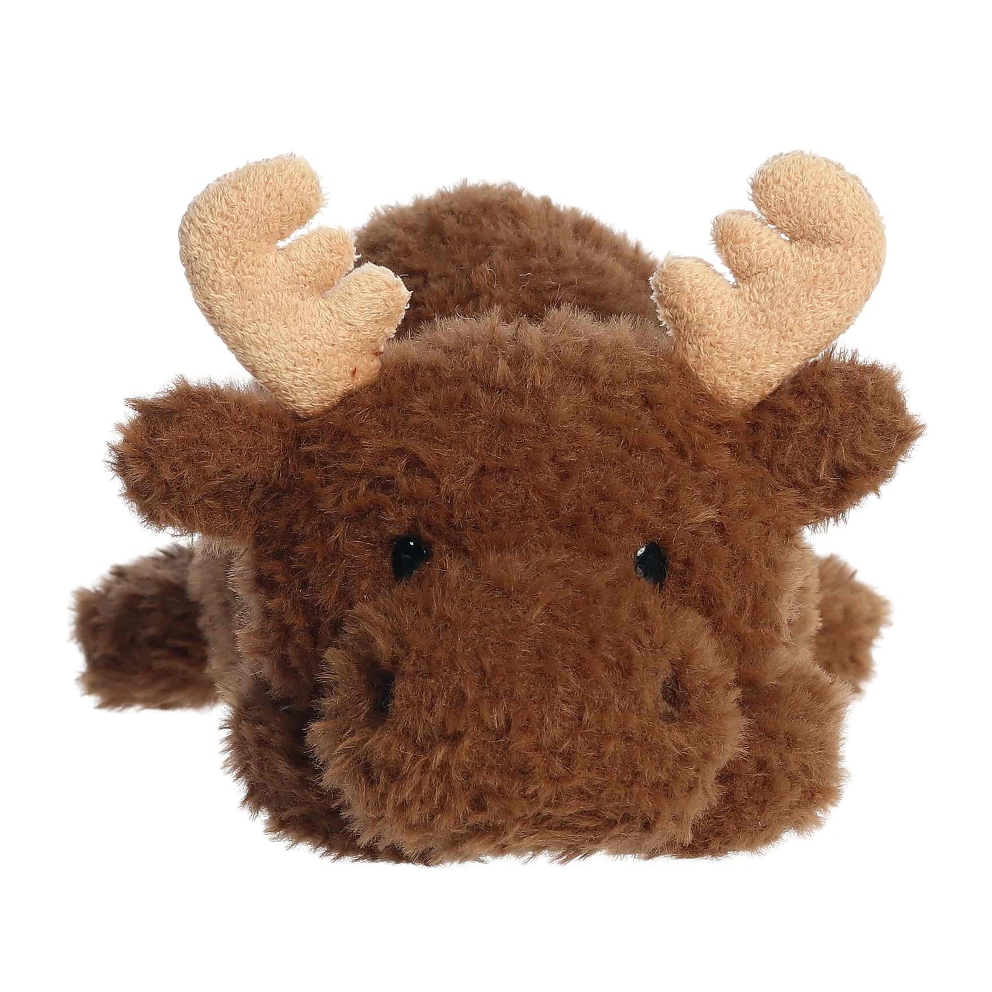 Mylo Moose | Aurora Rumplers