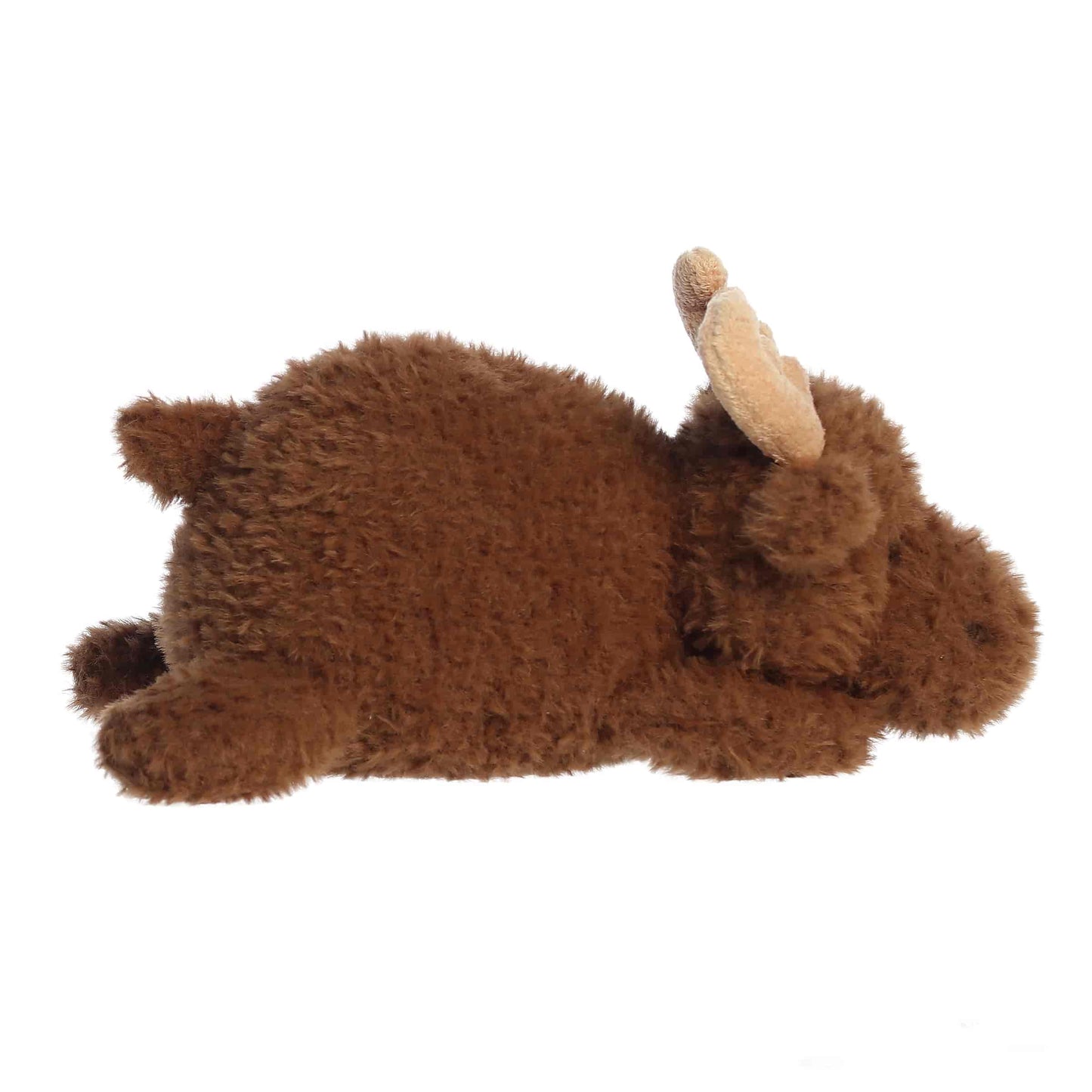 Mylo Moose | Aurora Rumplers