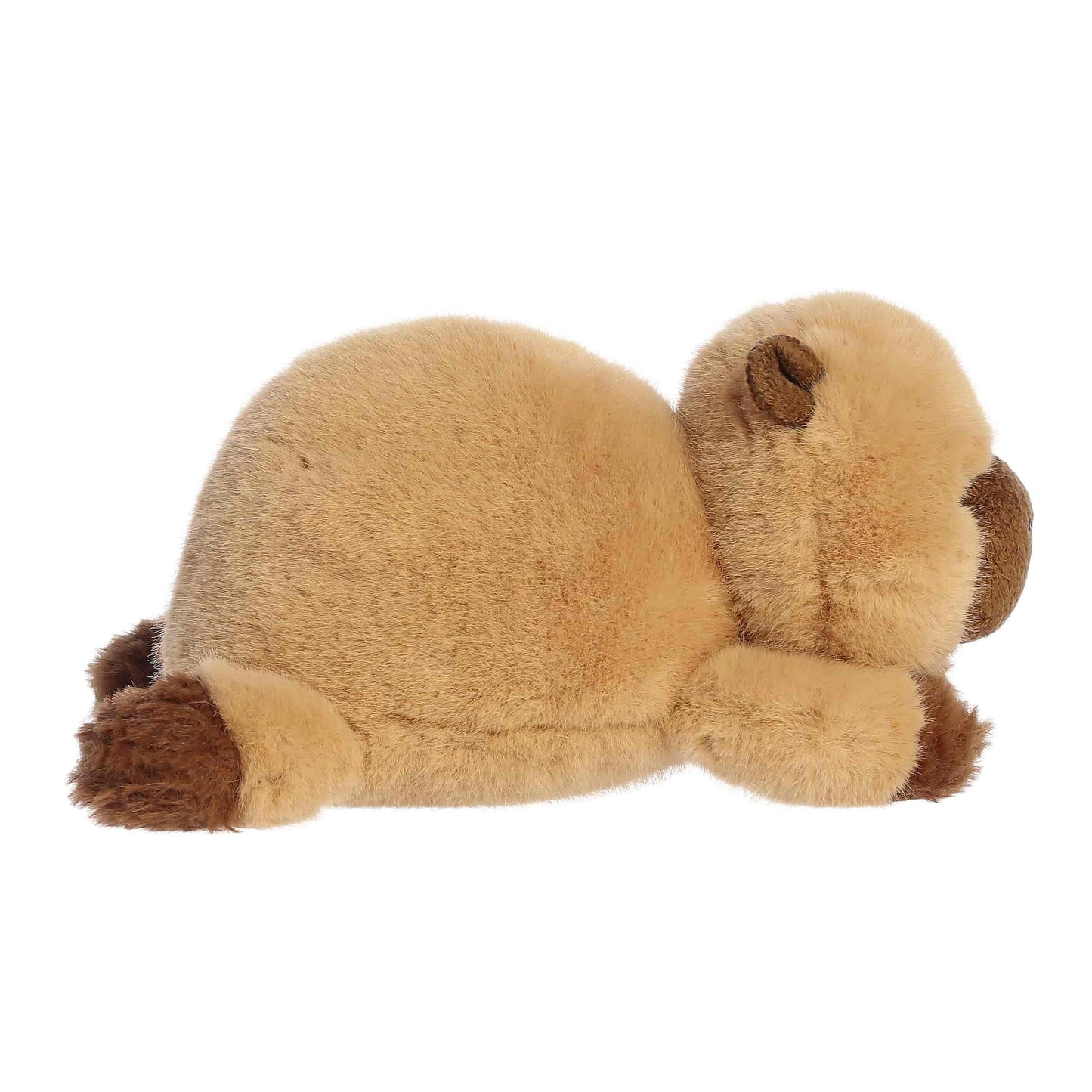 Carlota Capybara | Aurora Rumplers