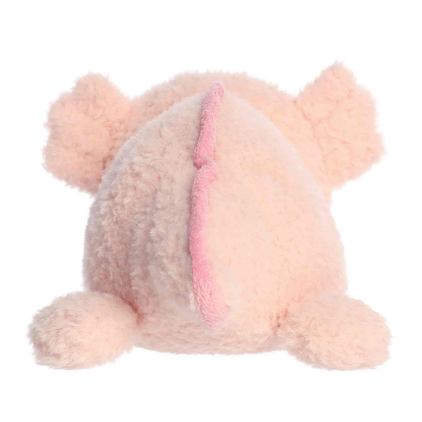 Arturo Axolotl | Aurora Rumplers