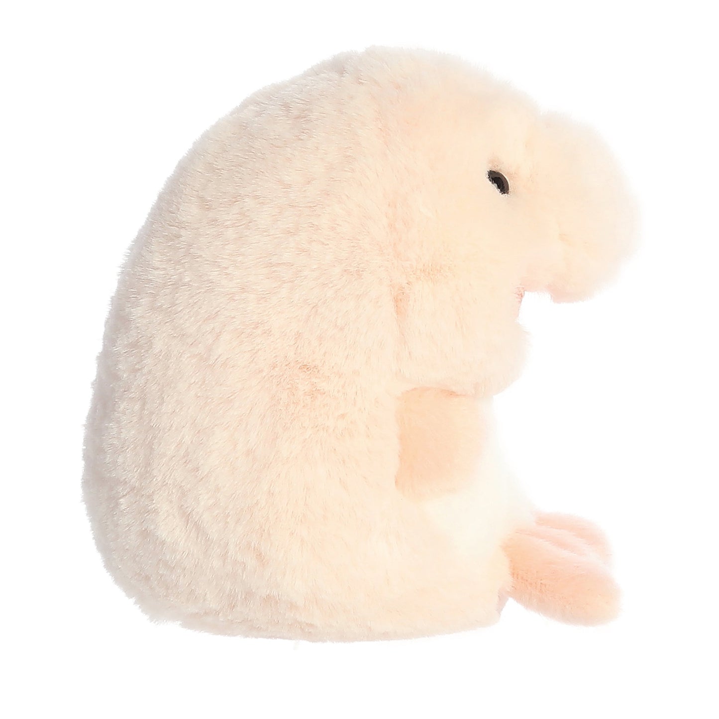 Bailey Blobfish | Aurora Rolly Pets