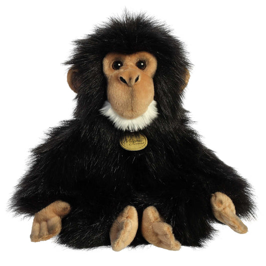 Chimpanzee | Aurora Miyoni