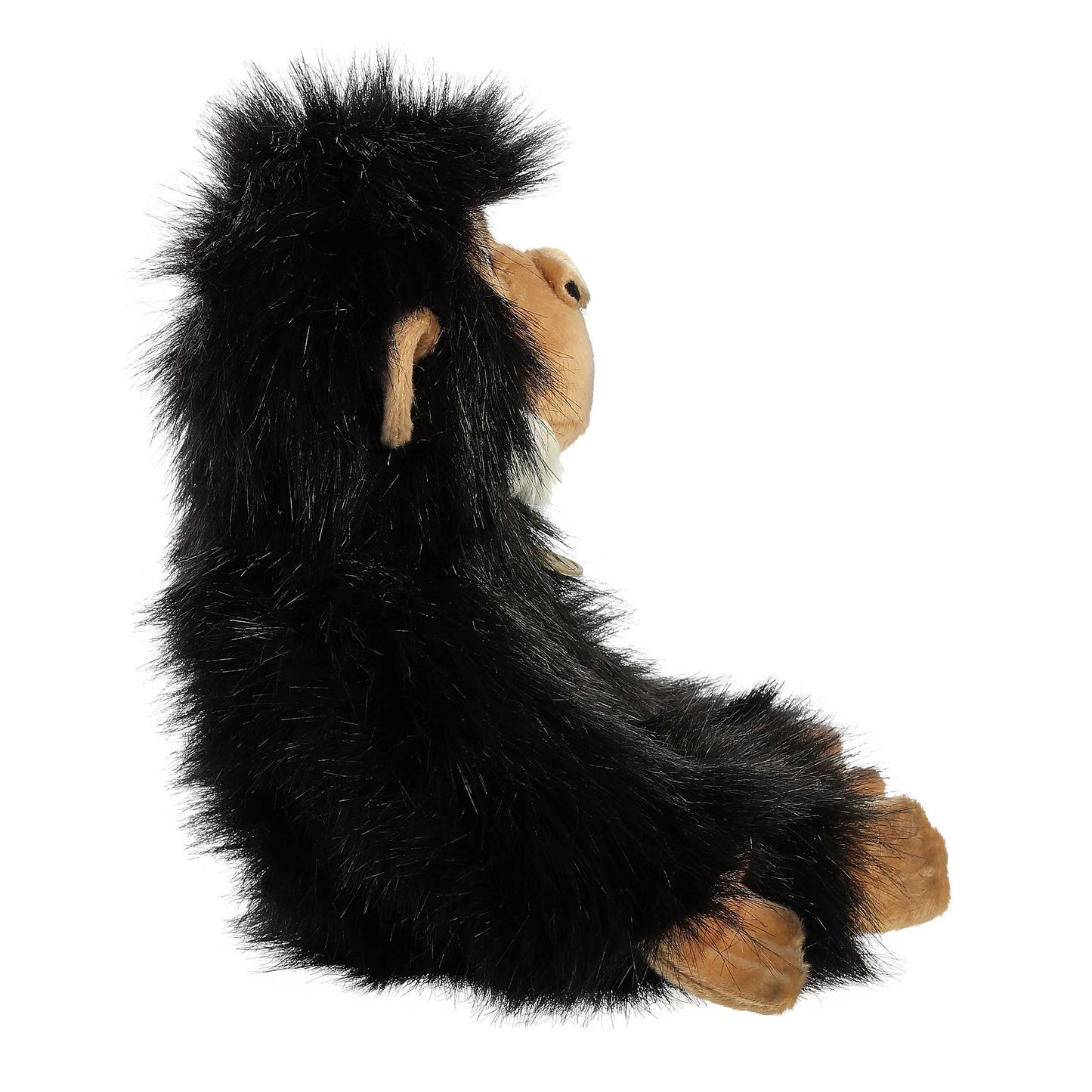 Chimpanzee | Aurora Miyoni