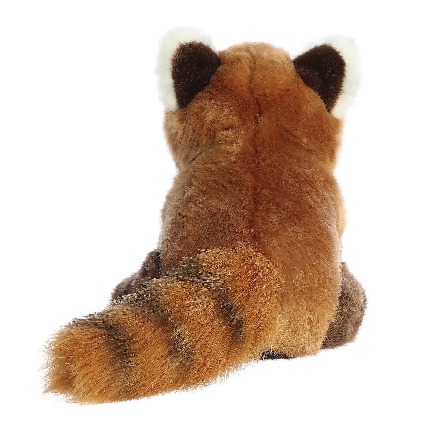 Red Panda Cub | Aurora Miyoni