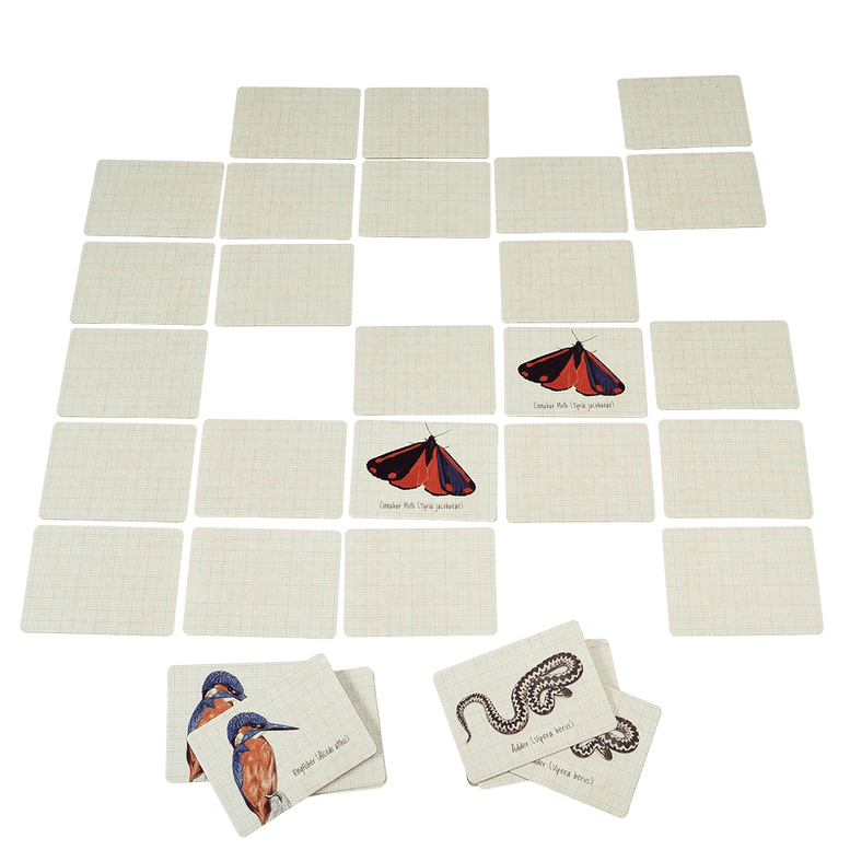 Nature Trail Memory Game