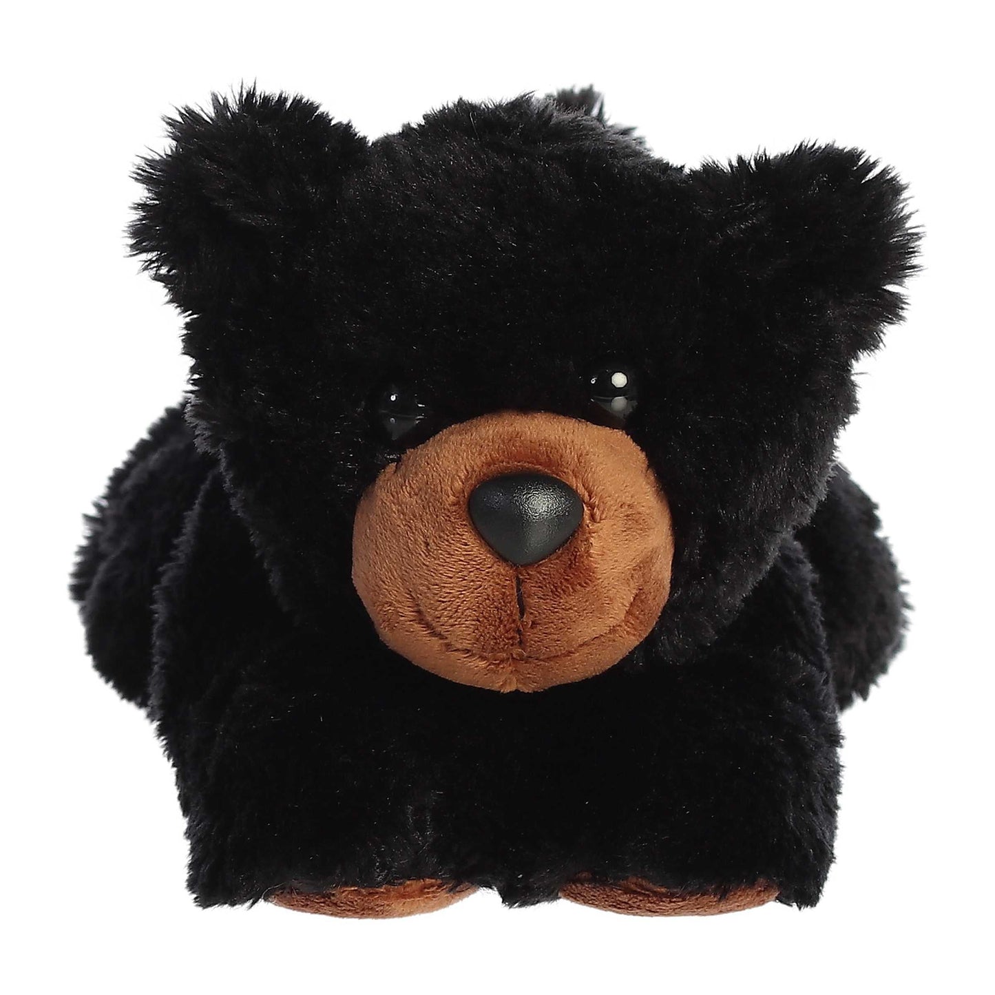 Sullivan Black Bear | Aurora Flopsie