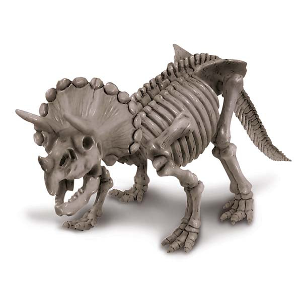 Dig a Dinosaur Skeleton | Triceratops