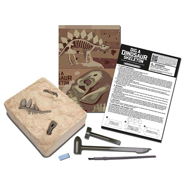 Dig a Dinosaur Skeleton | Stegosaurus