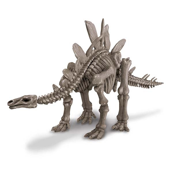 Dig a Dinosaur Skeleton | Stegosaurus