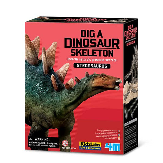 Dig a Dinosaur Skeleton | Stegosaurus