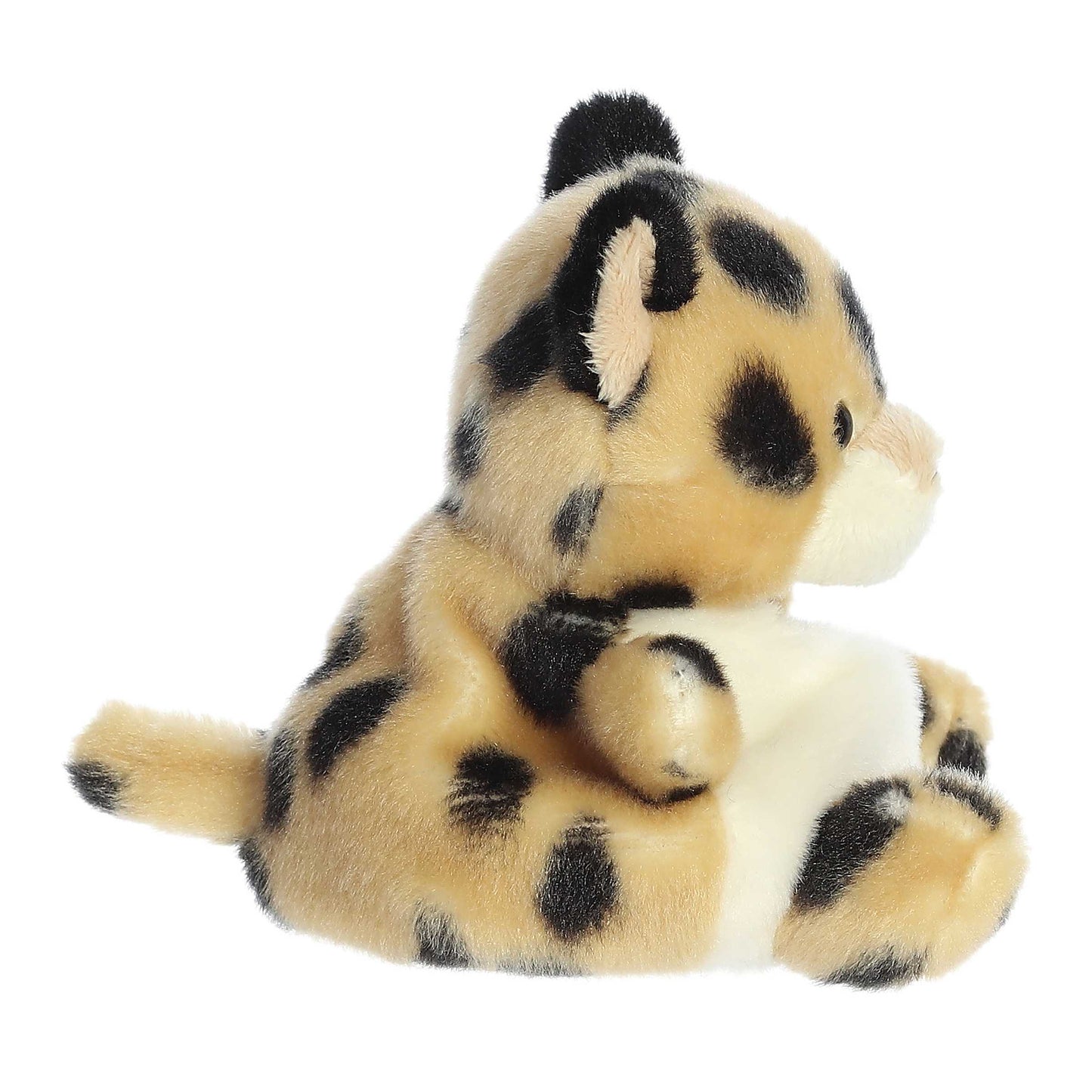 Chutney Cheetah | Aurora Palm Pals