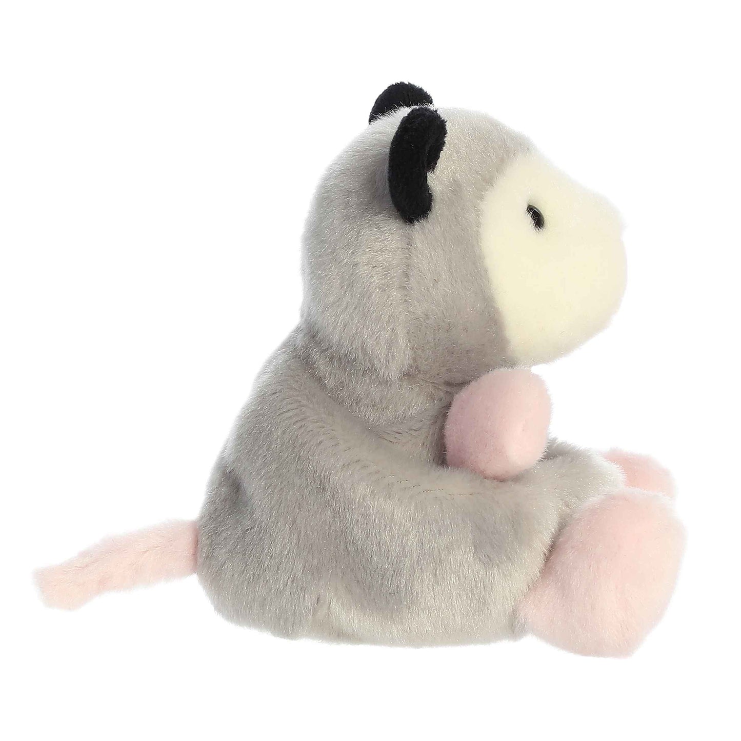 Sherri Opossum | Aurora Palm Pals