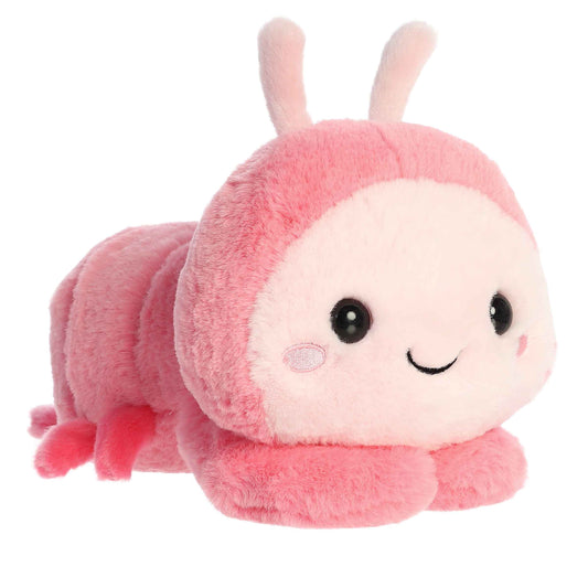 Shimmi Shrimp | Aurora Too Cute