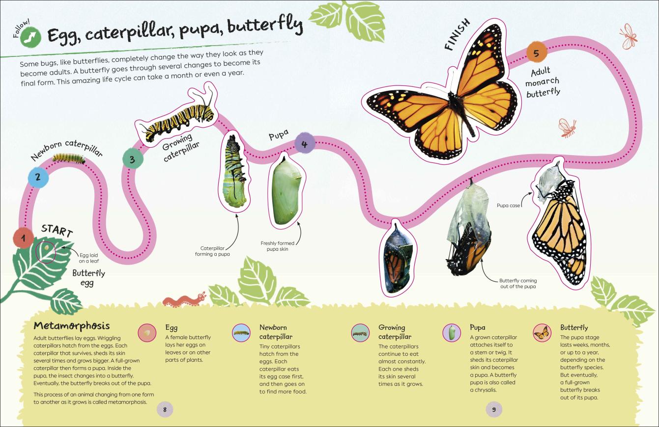 Ultimate Sticker Book: Garden Bugs