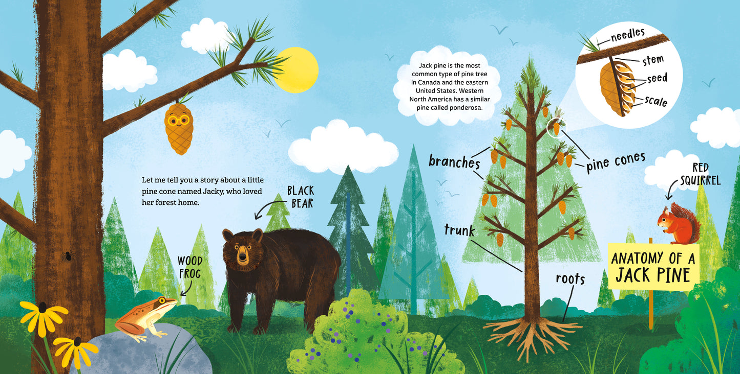 Little Pine Cone: Wildfires and the Natural World