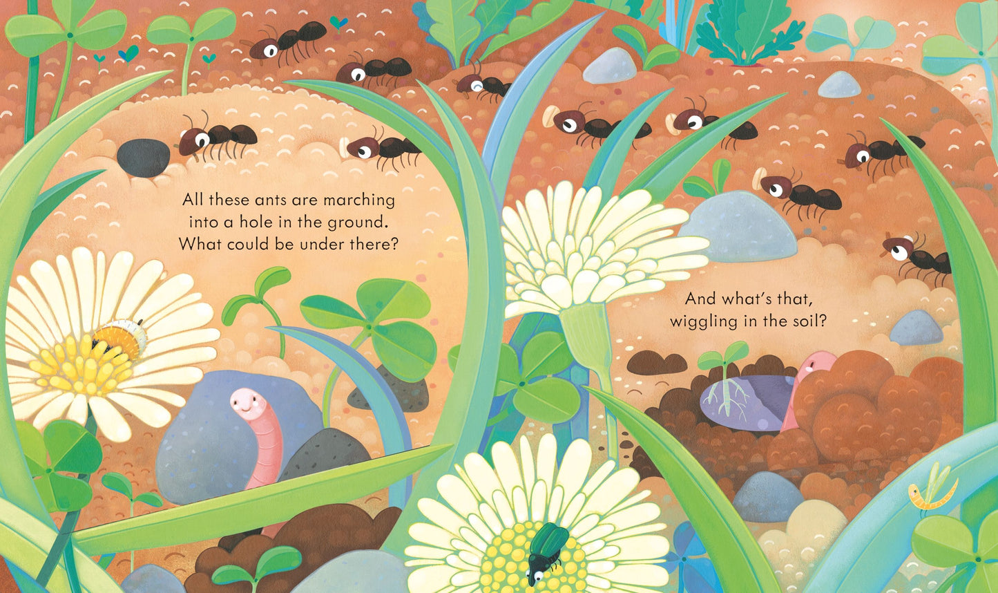 Peep Inside Under the Ground | Usborne Board Book