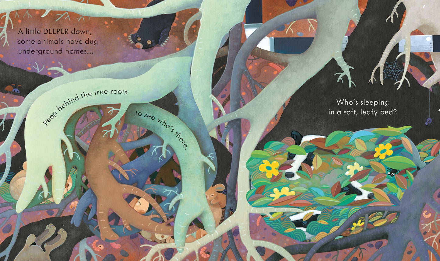 Peep Inside Under the Ground | Usborne Board Book