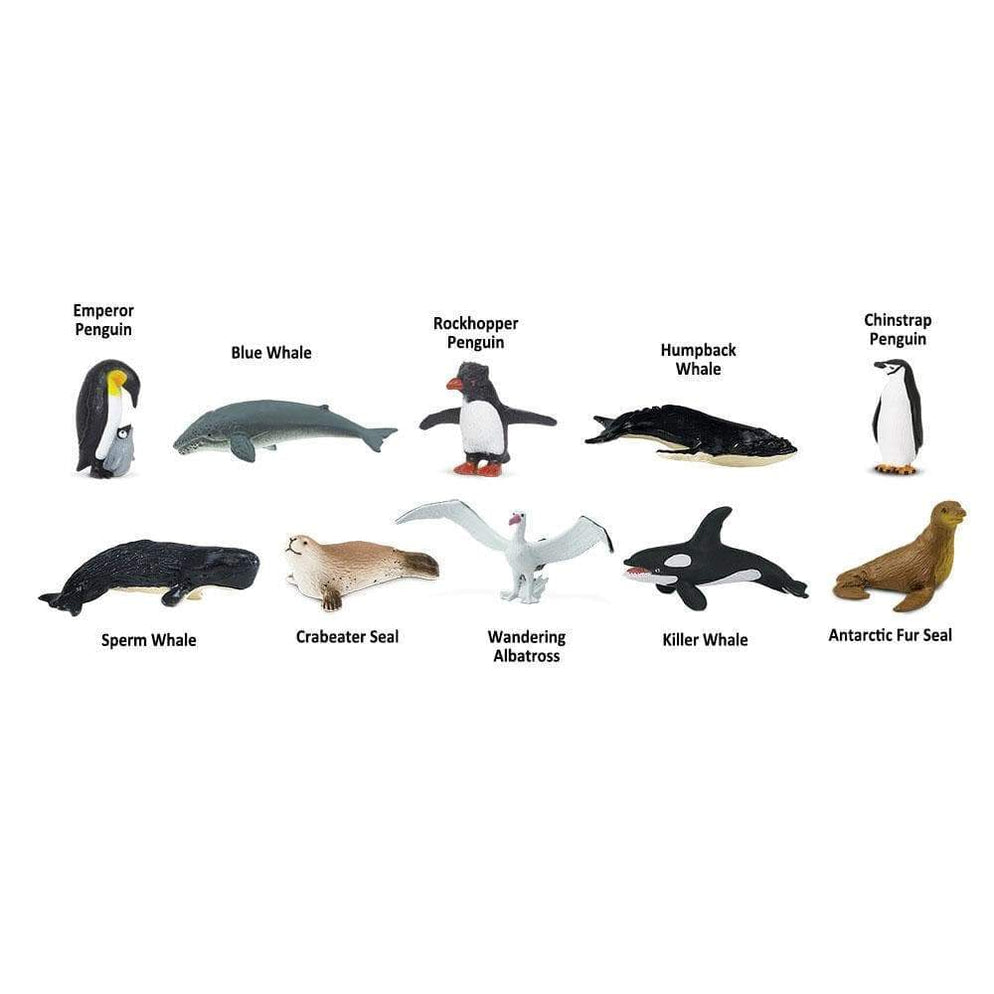 Safari Toob | Antarctica