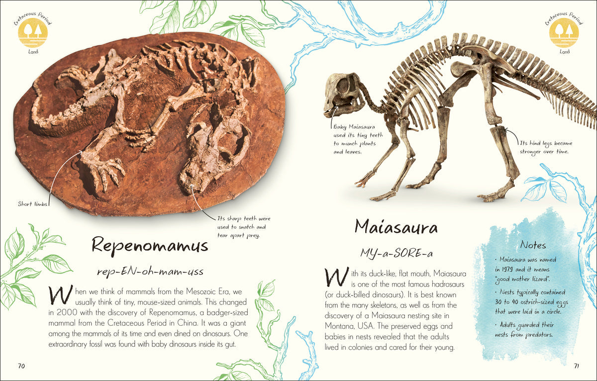 An Anthology Of Fossils