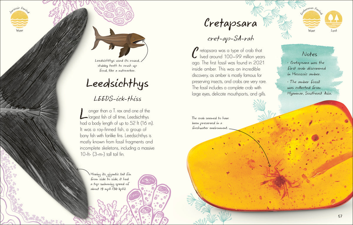 An Anthology Of Fossils